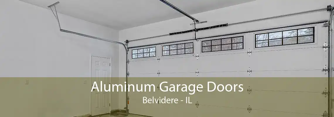 Aluminum Garage Doors Belvidere - IL