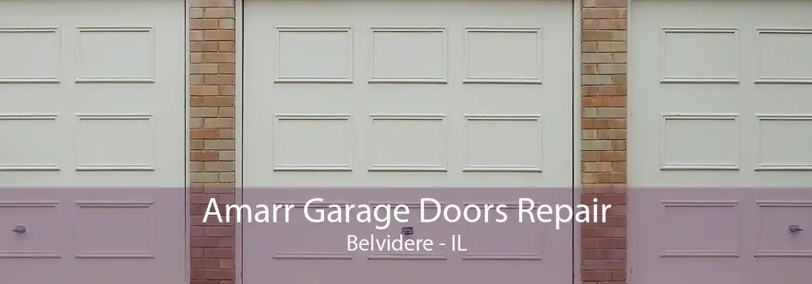 Amarr Garage Doors Repair Belvidere - IL