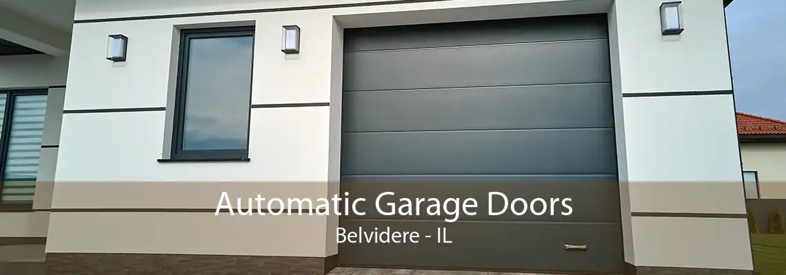 Automatic Garage Doors Belvidere - IL