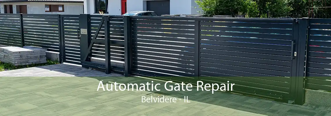 Automatic Gate Repair Belvidere - IL