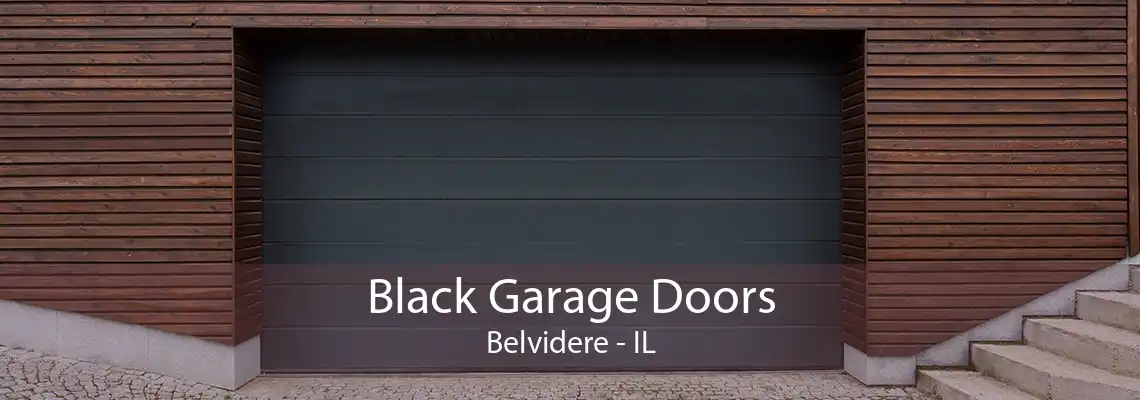 Black Garage Doors Belvidere - IL