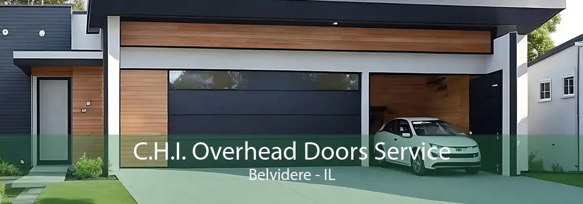 C.H.I. Overhead Doors Service Belvidere - IL