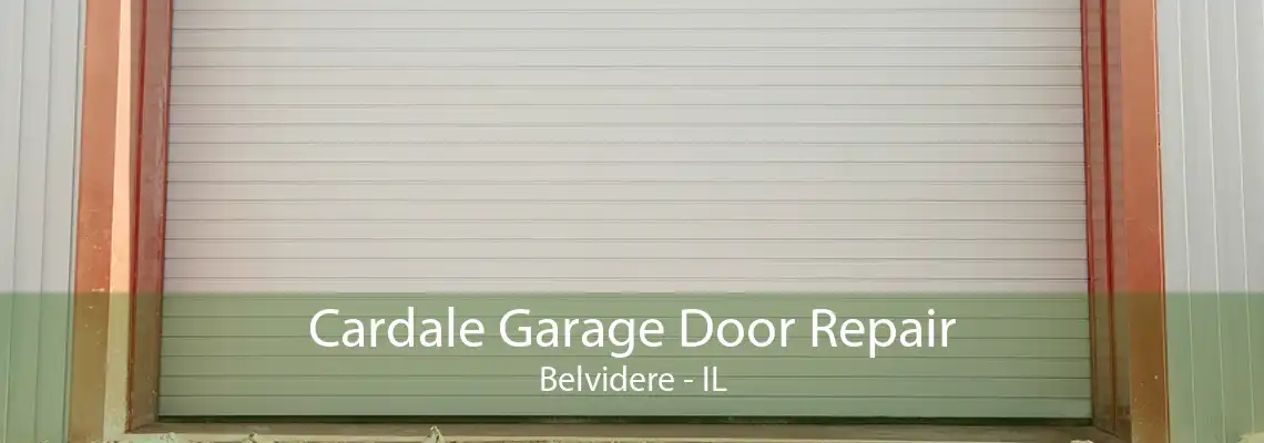 Cardale Garage Door Repair Belvidere - IL