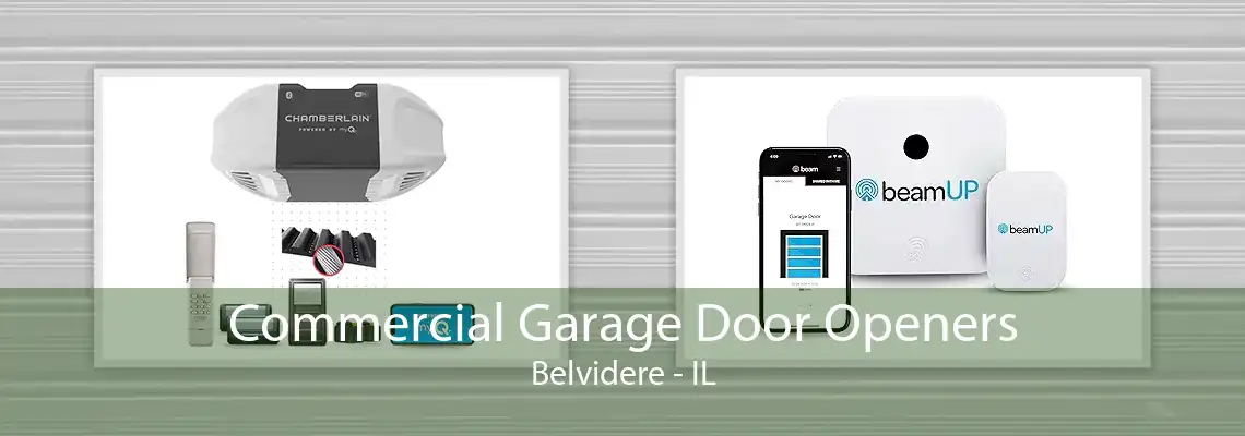 Commercial Garage Door Openers Belvidere - IL