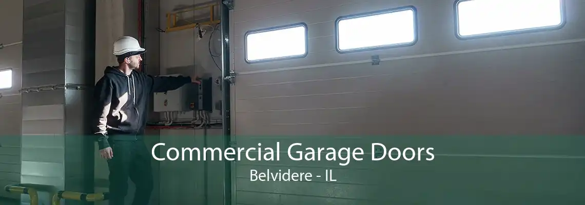 Commercial Garage Doors Belvidere - IL