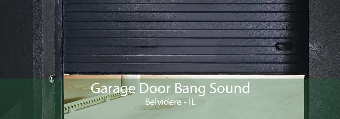 Garage Door Bang Sound Belvidere - IL