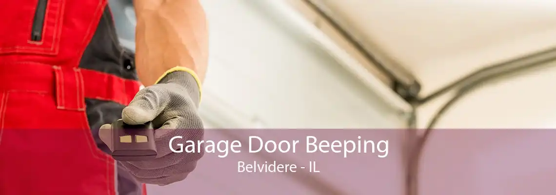 Garage Door Beeping Belvidere - IL