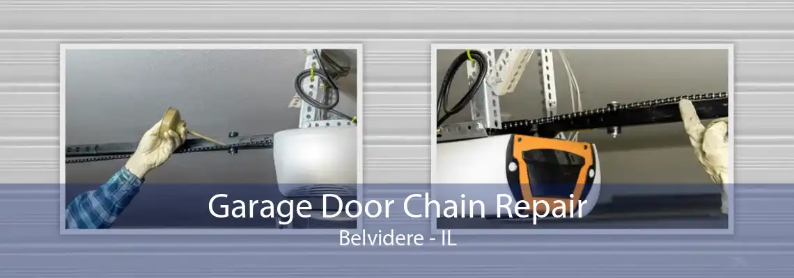 Garage Door Chain Repair Belvidere - IL