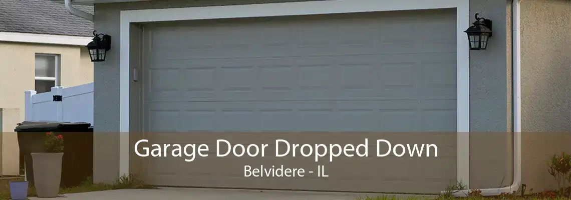 Garage Door Dropped Down Belvidere - IL