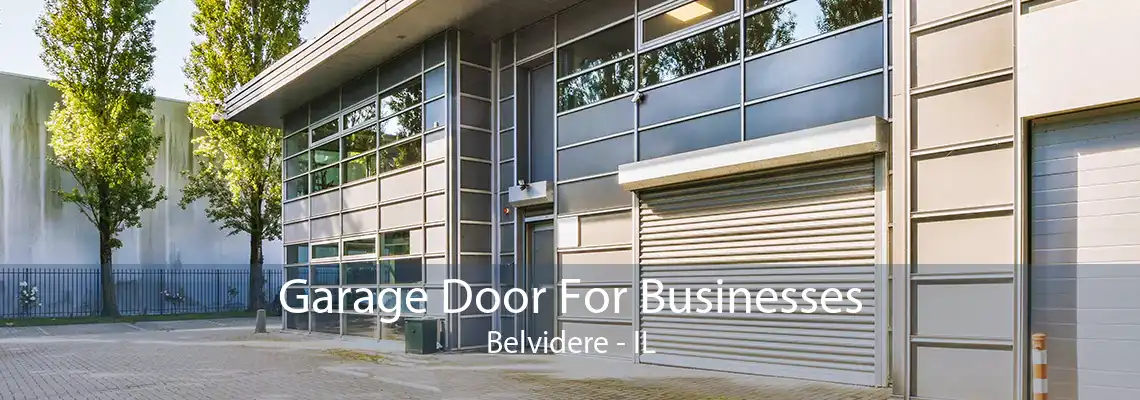 Garage Door For Businesses Belvidere - IL