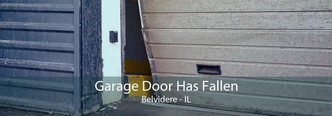 Garage Door Has Fallen Belvidere - IL