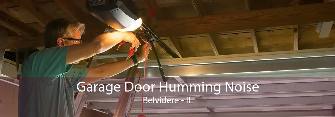 Garage Door Humming Noise Belvidere - IL