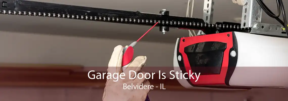 Garage Door Is Sticky Belvidere - IL