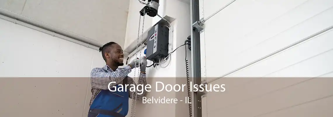 Garage Door Issues Belvidere - IL