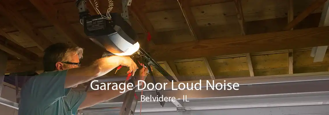 Garage Door Loud Noise Belvidere - IL