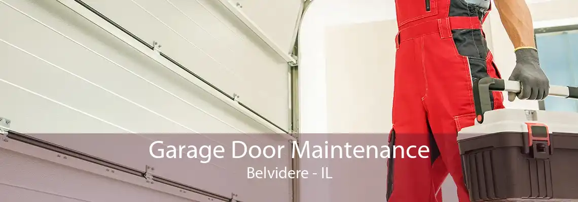 Garage Door Maintenance Belvidere - IL