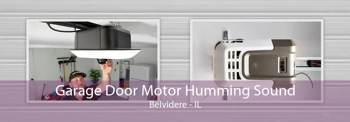 Garage Door Motor Humming Sound Belvidere - IL