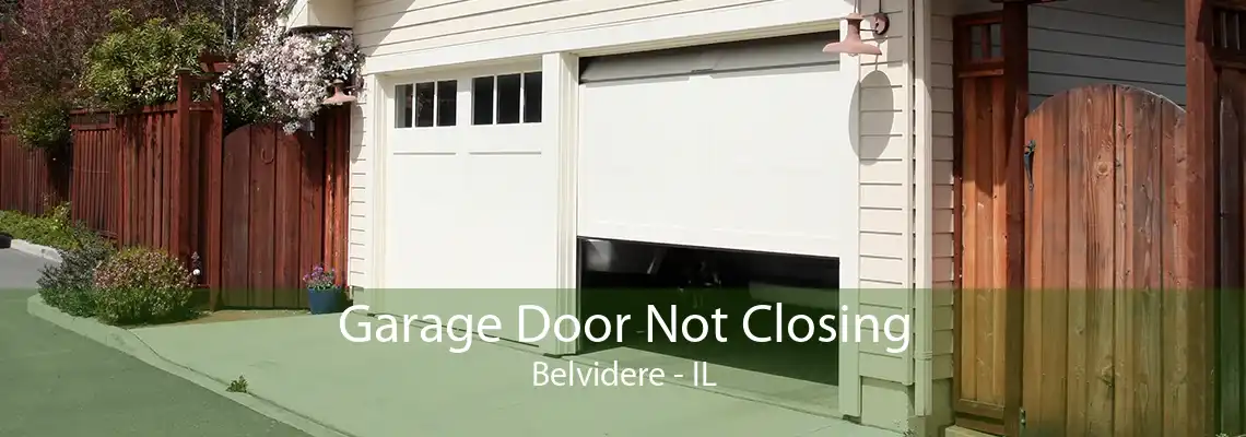 Garage Door Not Closing Belvidere - IL