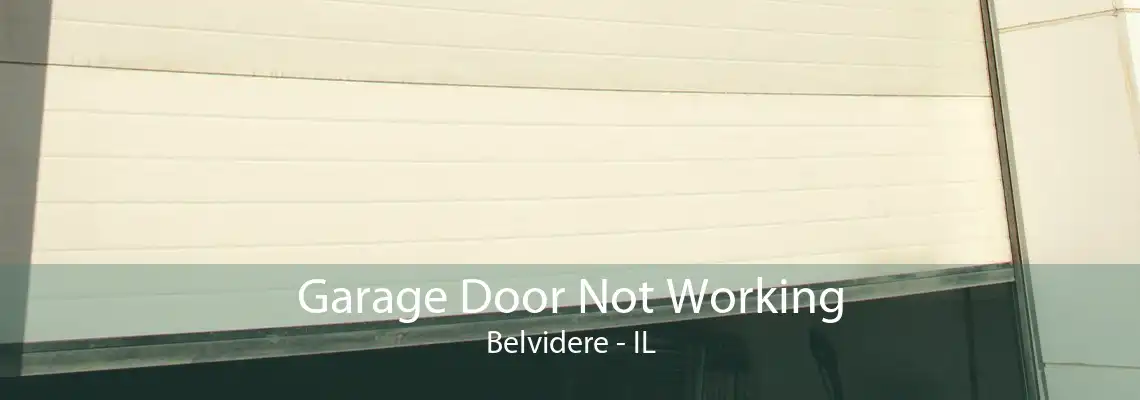 Garage Door Not Working Belvidere - IL