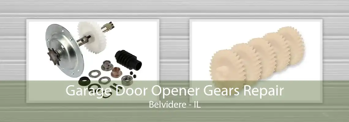 Garage Door Opener Gears Repair Belvidere - IL