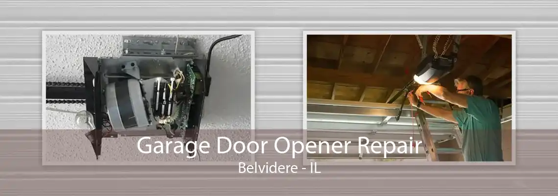 Garage Door Opener Repair Belvidere - IL