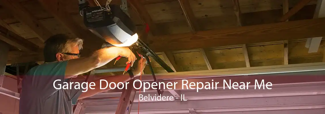 Garage Door Opener Repair Near Me Belvidere - IL