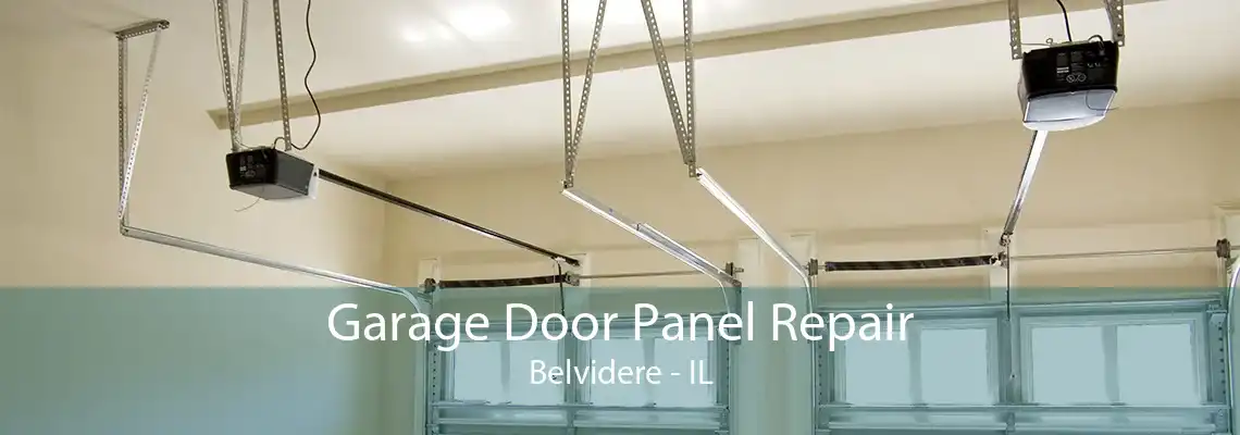 Garage Door Panel Repair Belvidere - IL