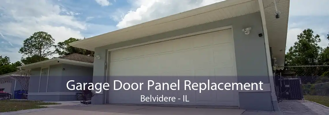 Garage Door Panel Replacement Belvidere - IL