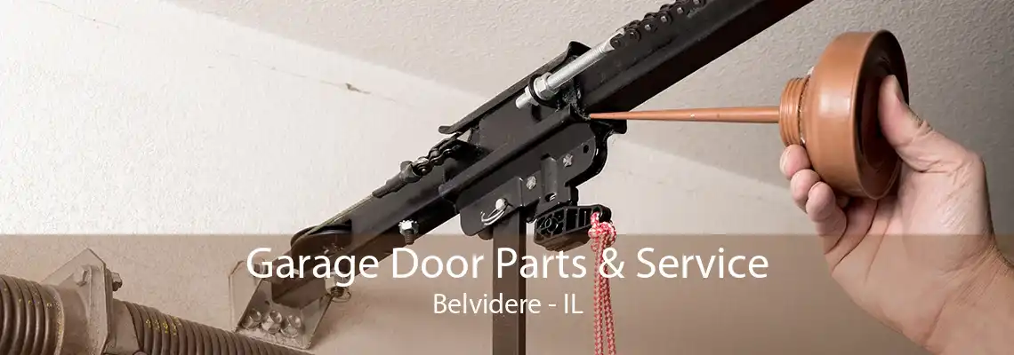 Garage Door Parts & Service Belvidere - IL