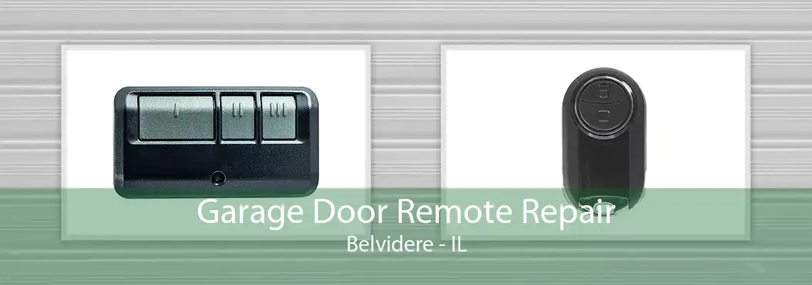 Garage Door Remote Repair Belvidere - IL