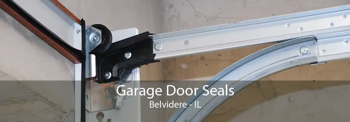 Garage Door Seals Belvidere - IL