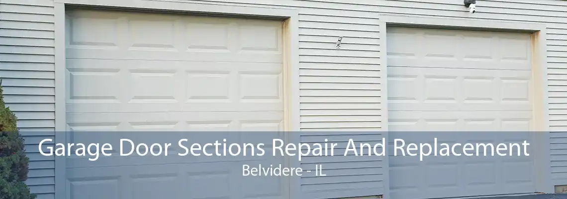 Garage Door Sections Repair And Replacement Belvidere - IL