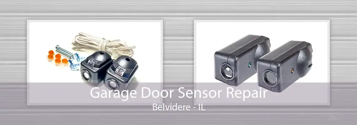 Garage Door Sensor Repair Belvidere - IL