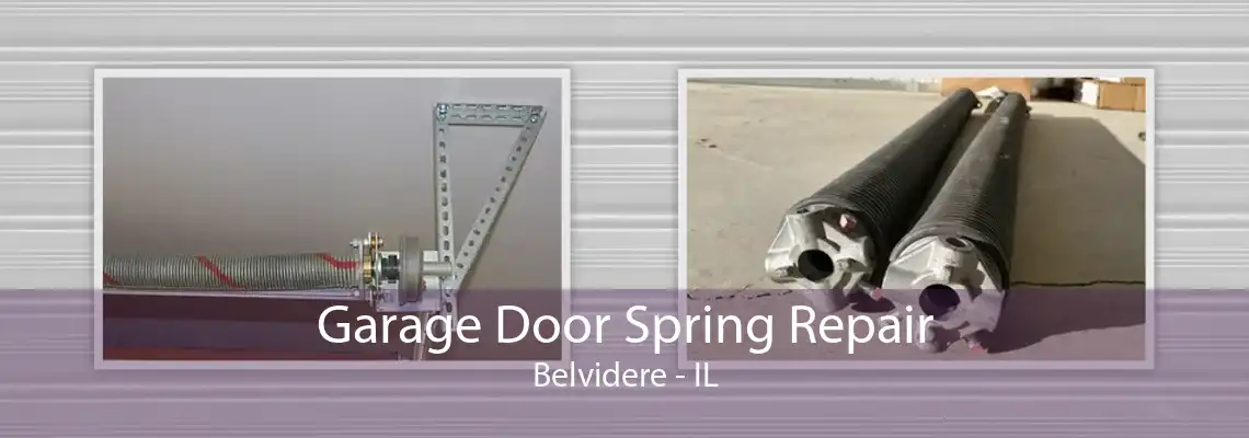 Garage Door Spring Repair Belvidere - IL