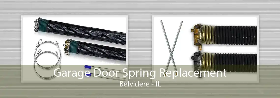 Garage Door Spring Replacement Belvidere - IL