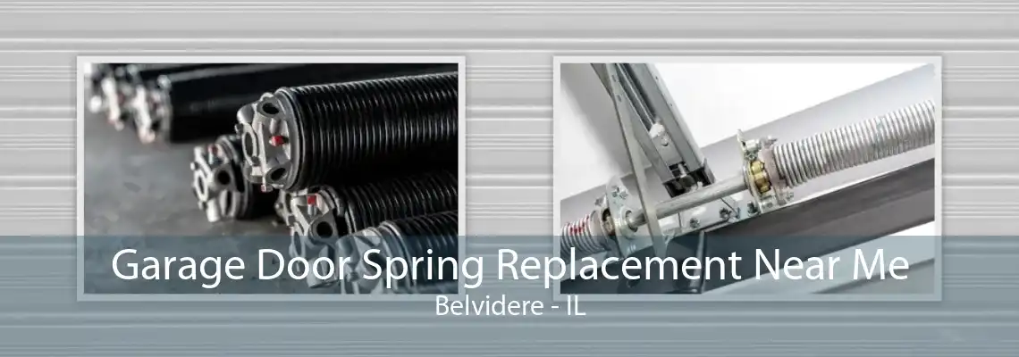 Garage Door Spring Replacement Near Me Belvidere - IL