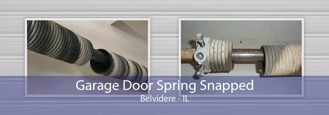 Garage Door Spring Snapped Belvidere - IL