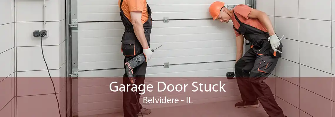 Garage Door Stuck Belvidere - IL