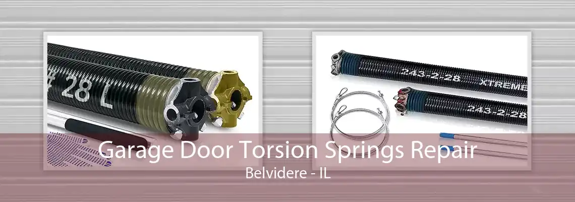 Garage Door Torsion Springs Repair Belvidere - IL