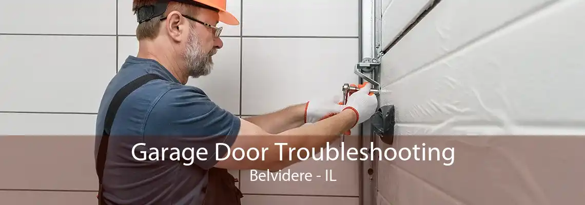 Garage Door Troubleshooting Belvidere - IL