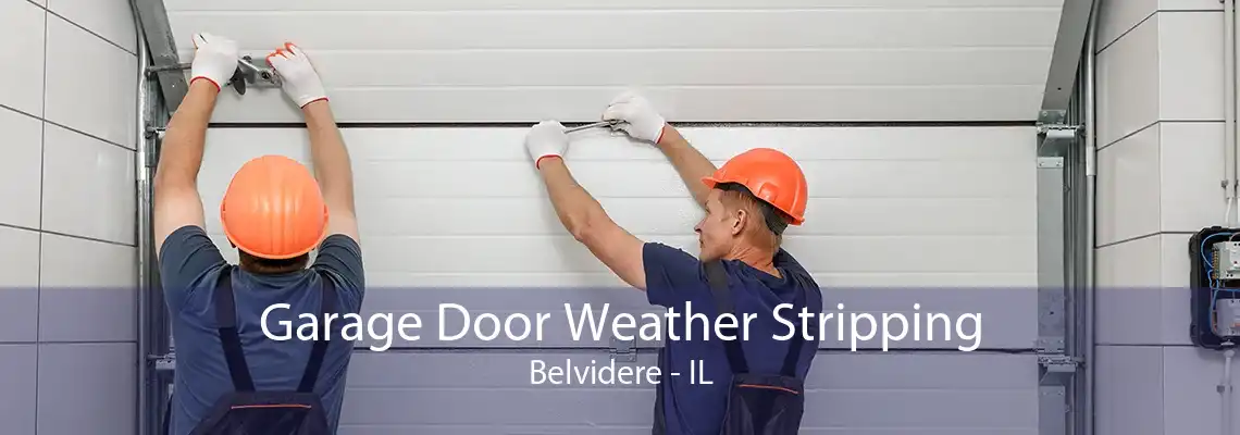 Garage Door Weather Stripping Belvidere - IL