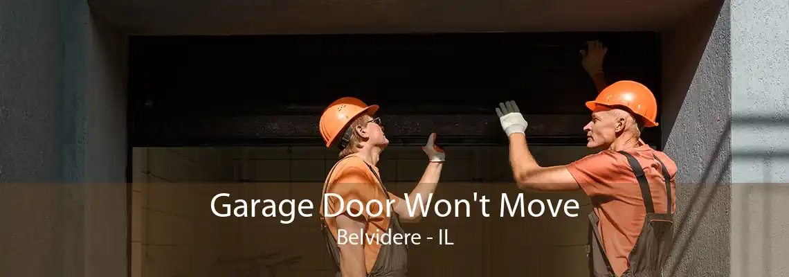 Garage Door Won't Move Belvidere - IL