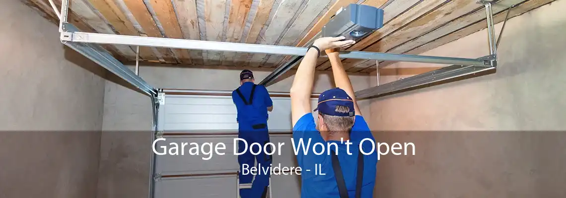 Garage Door Won't Open Belvidere - IL