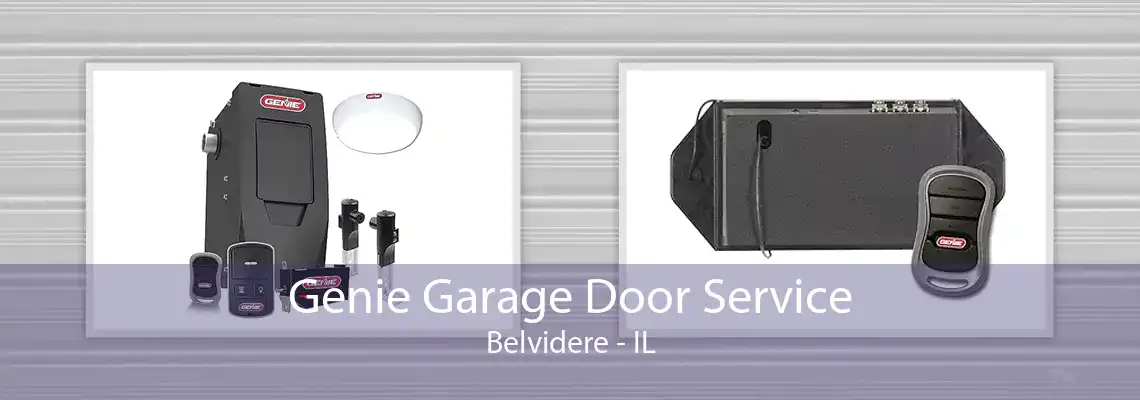 Genie Garage Door Service Belvidere - IL