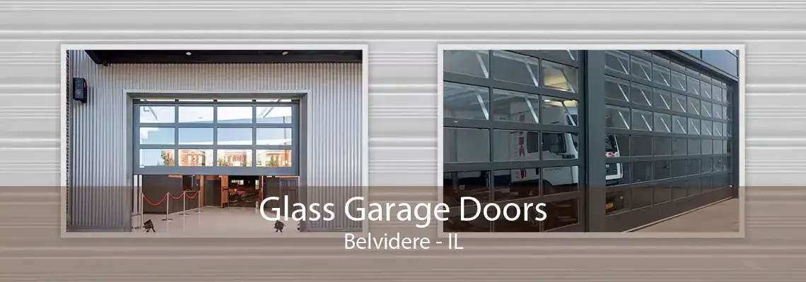 Glass Garage Doors Belvidere - IL