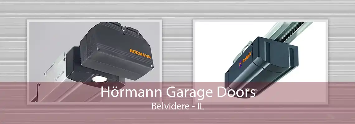 Hörmann Garage Doors Belvidere - IL