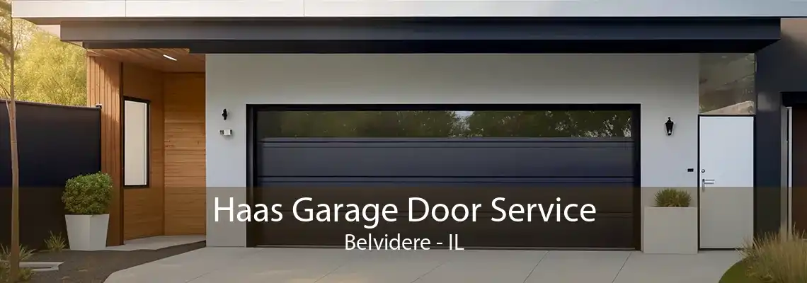 Haas Garage Door Service Belvidere - IL