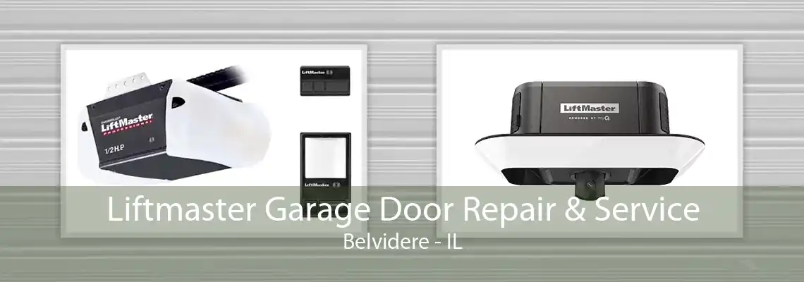 Liftmaster Garage Door Repair & Service Belvidere - IL