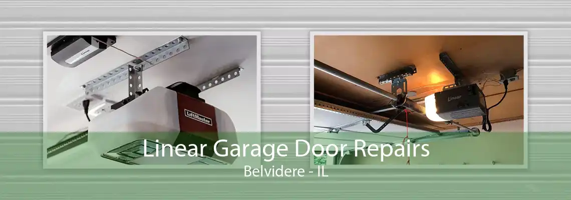 Linear Garage Door Repairs Belvidere - IL