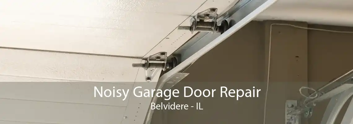 Noisy Garage Door Repair Belvidere - IL